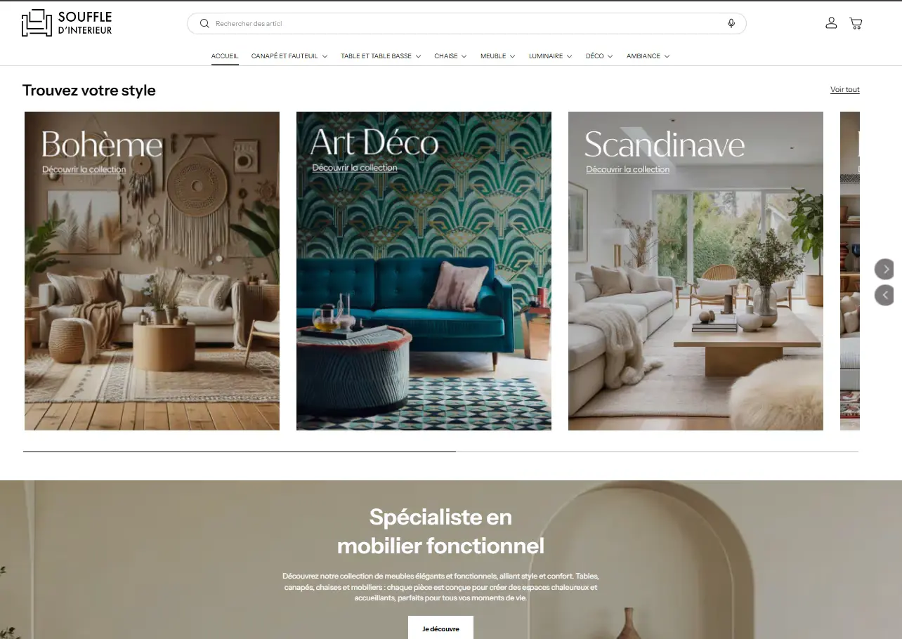 Design E-commerce Professionnel