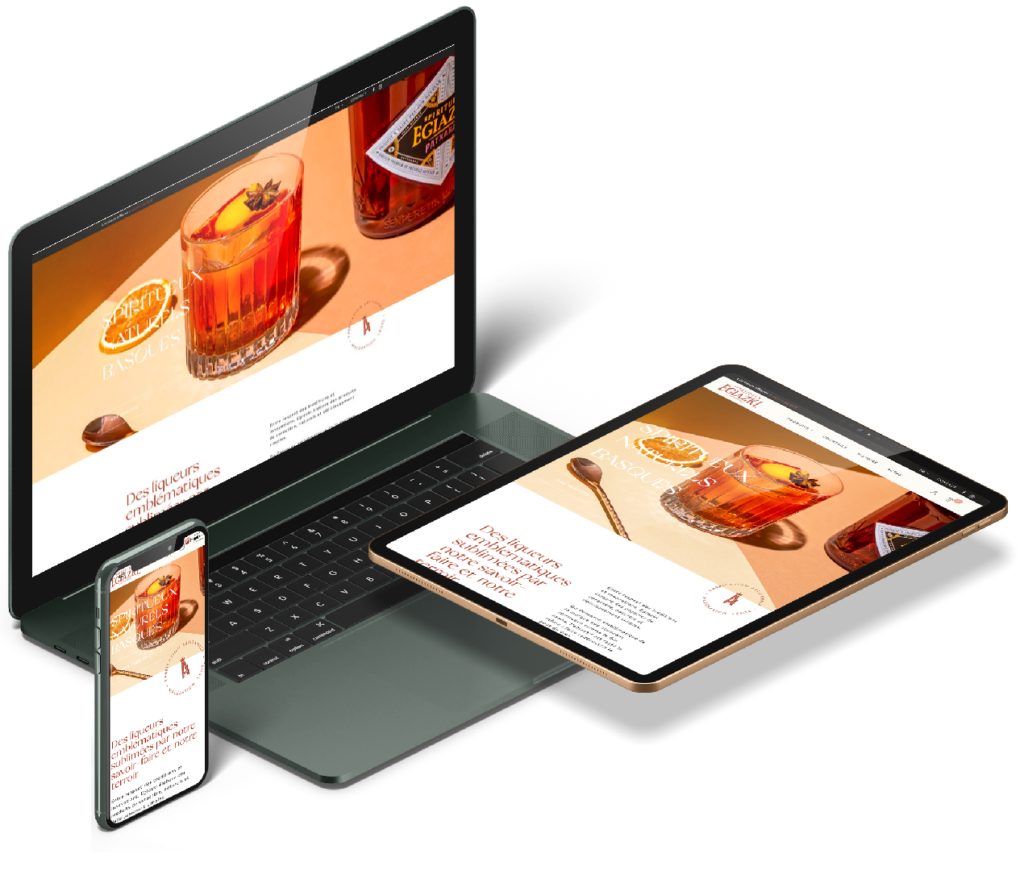 création site responsive par agence web rhillane avec le cms wordpress